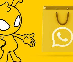 WhatsApp como canal de vendas x dicas para lojas virtuais