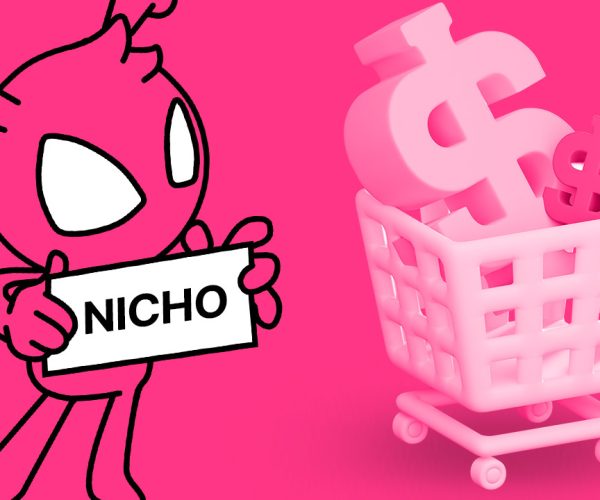 Nichos de mercado: 10 opções lucrativas e pouco exploradas no dropshipping